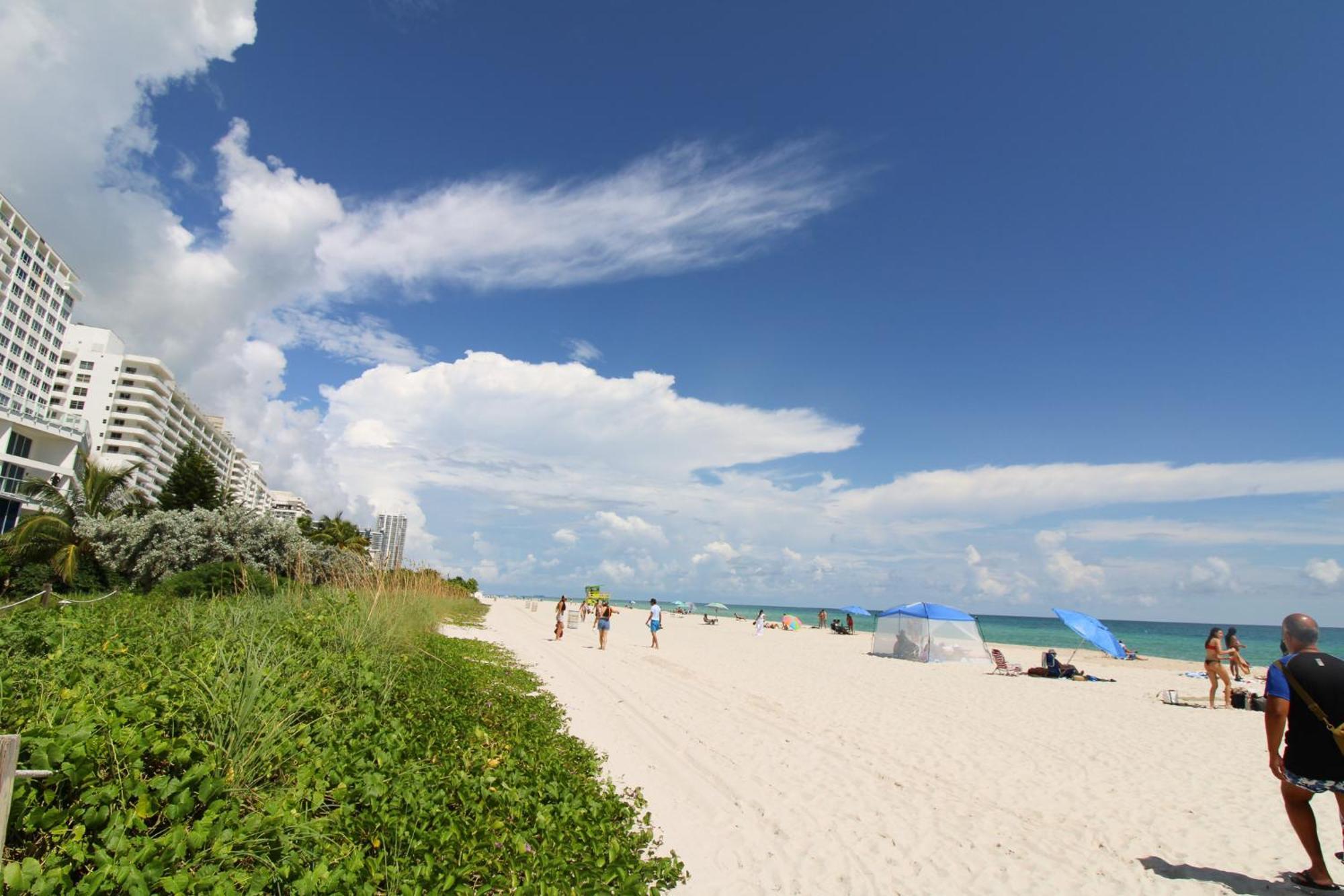 Castle Pavillon 8 Beachfront - Private Beach Access Loft With 2-Story, Pool, Tennis, Free Parking Access Miami Beach Exteriér fotografie
